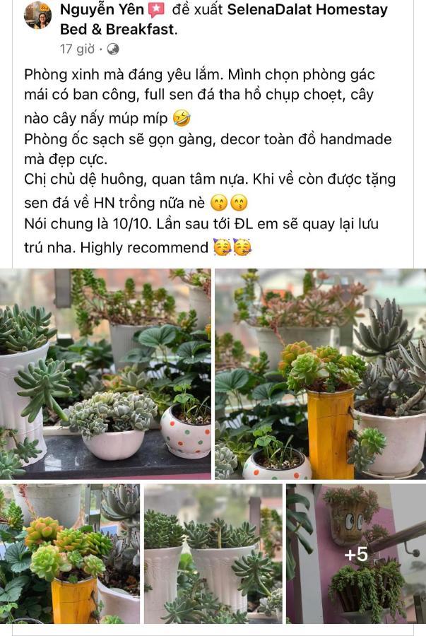 Selena Dalat Homestay Экстерьер фото