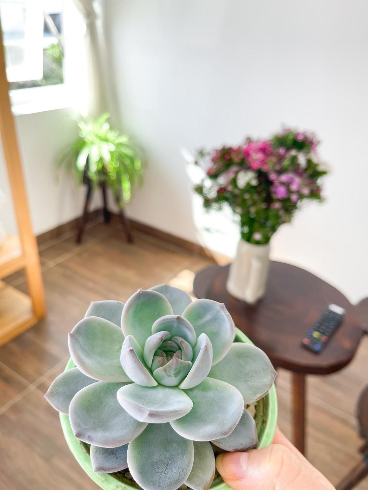 Selena Dalat Homestay Номер фото